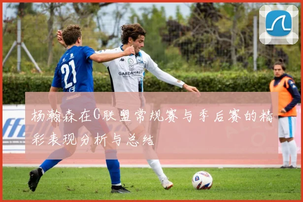 杨瀚森在G联盟常规赛与季后赛的精彩表现分析与总结