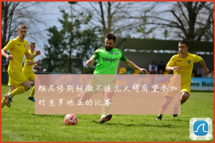 维尼修斯轻微不适无大碍有望参加对克罗地亚的比赛